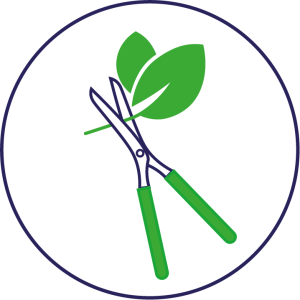 Tuin- en terreinonderhoud